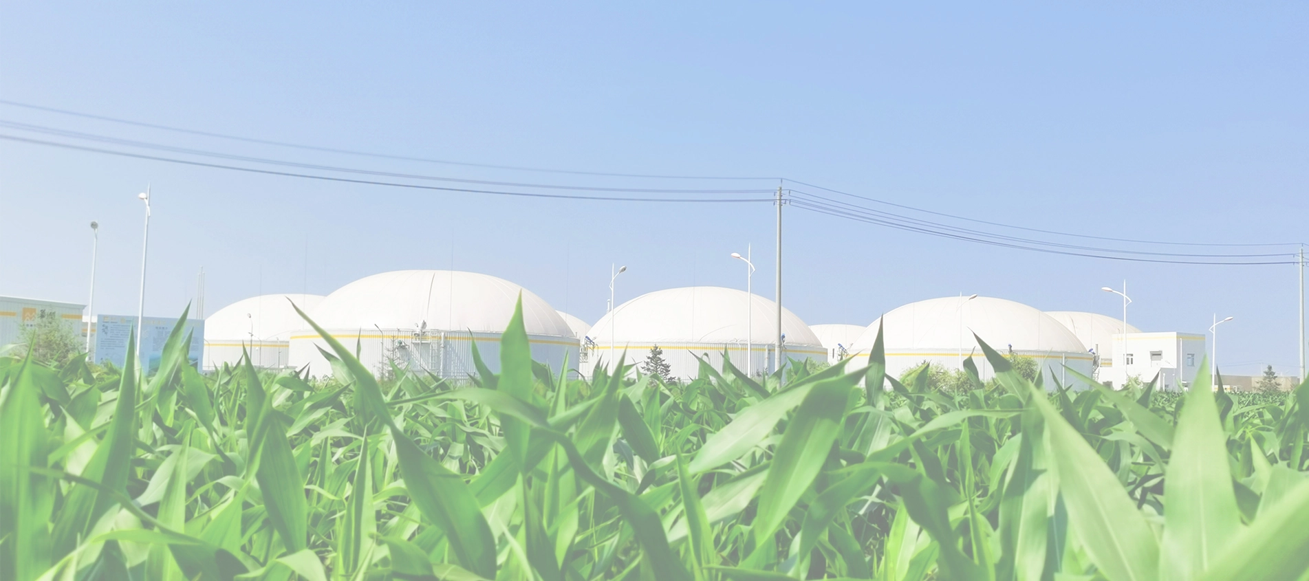 Usi del supporto per Biogas